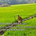 Pengaruh Keasaman Tanah Terhadap Budidaya Tanaman