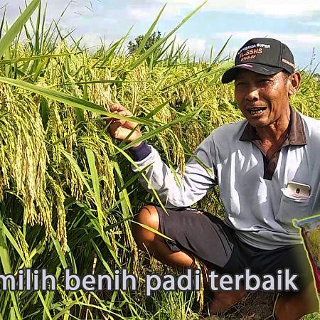Berkualitas